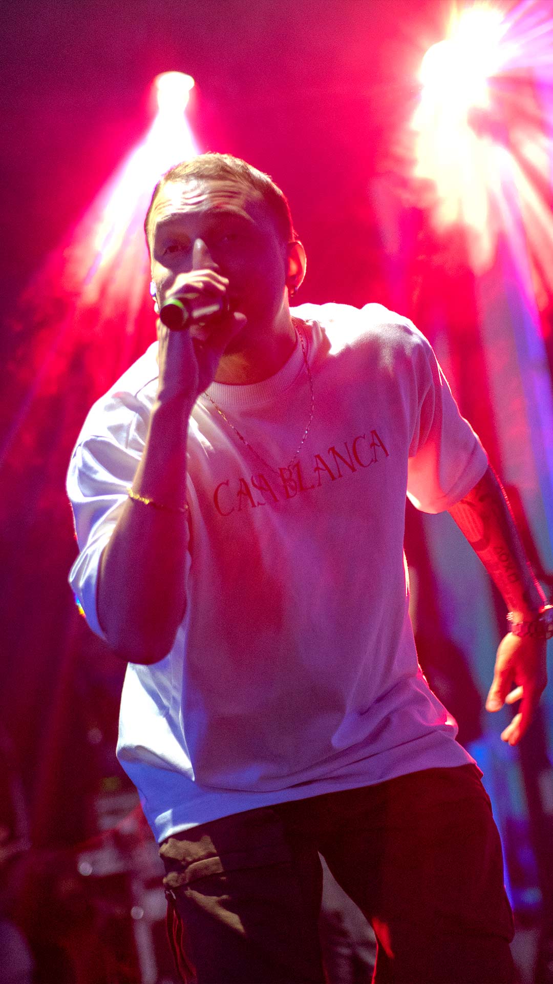 Gustavinn no palco 8